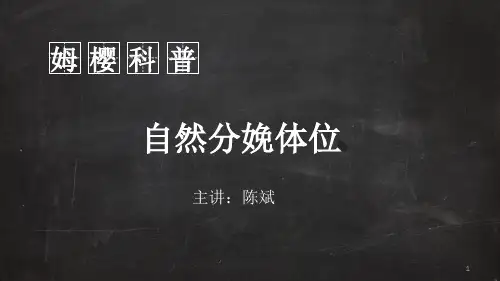 自由体位然分娩ppt课件