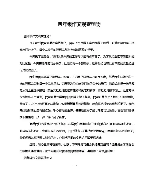 四年级作文观察植物