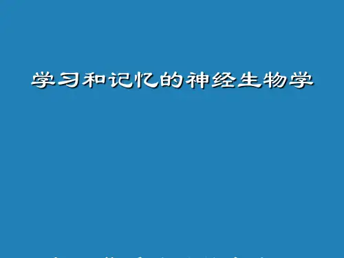 学习与记忆神经生物学
