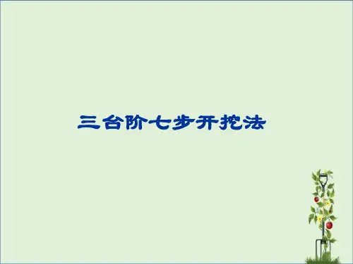 三台阶七步开挖法.