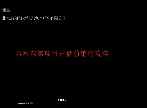 世联北京某地产东第项目开盘前销售攻略