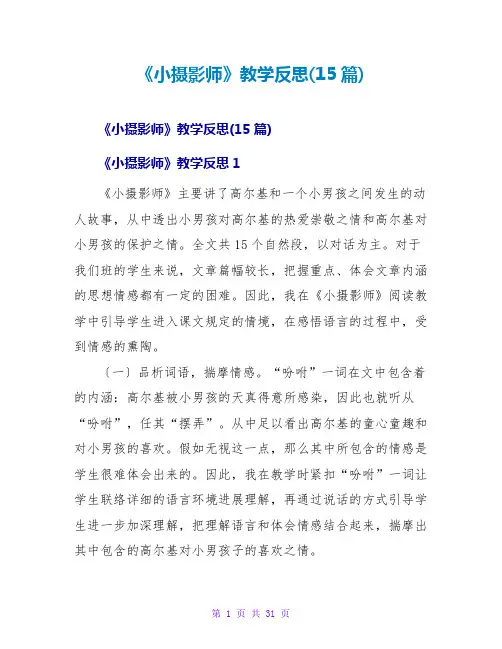 《小摄影师》教学反思(15篇)