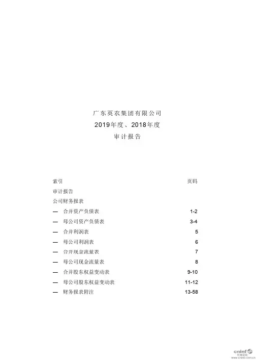 德美化工：广东英农集团有限公司2019年度、2018年度审计报告