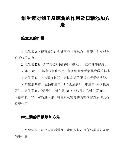 维生素对鸽子及家禽的作用及日粮添加方法