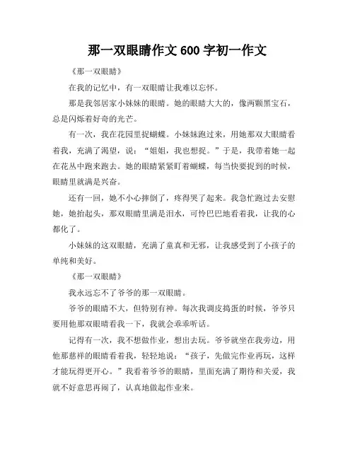 那一双眼睛作文600字初一作文