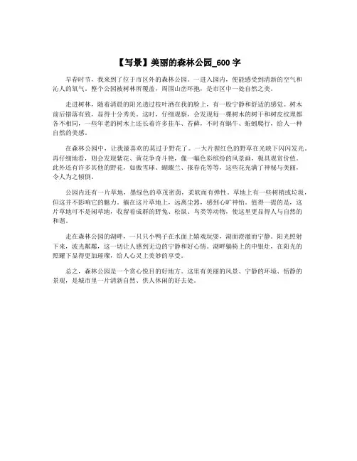 【写景】美丽的森林公园_600字
