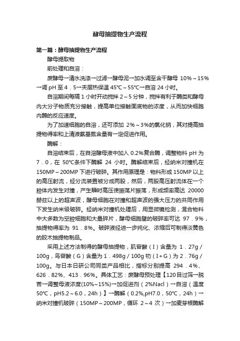 酵母抽提物生产流程