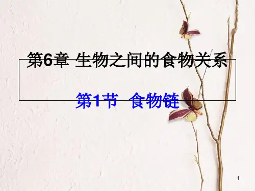 学年七年级生物上册 3.6.1 食物链课件 (新版)苏科版.pptx