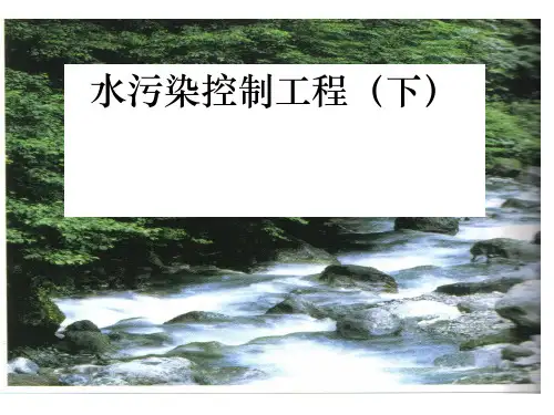 污水的生物处理技术PPT(50张)