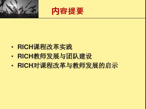 浙江师大RICH章节程实践与教师发展