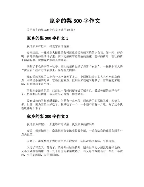 家乡的梨300字作文