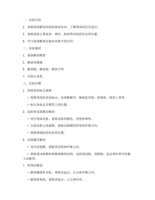 颈部局解实验报告