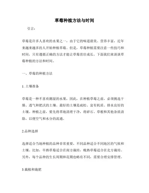 草莓种植方法与时间