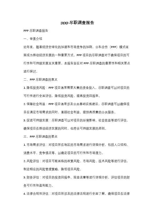 ppp尽职调查报告