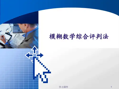 模糊数学综合评判法(高等教育)