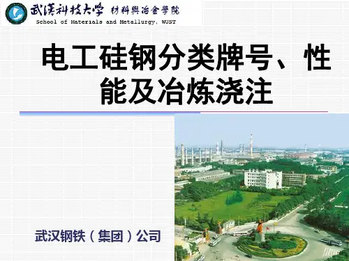 电工硅钢分类牌号、性能及冶炼浇注