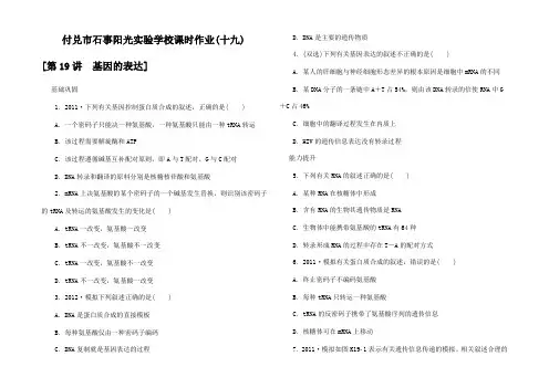 高三生物一轮复习课时作业 基因的表达