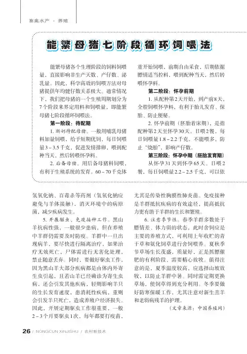 能繁母猪七阶段循环饲喂法