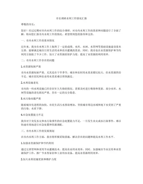 市长调研水利工作情况汇报