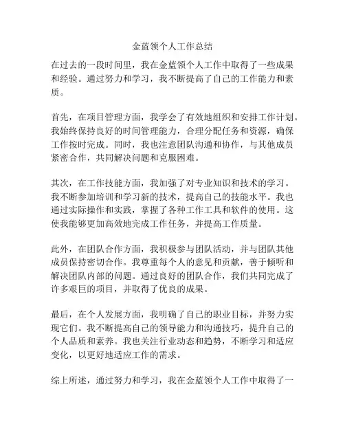金蓝领个人工作总结