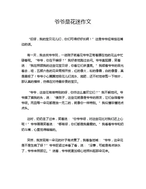 爷爷是花迷作文