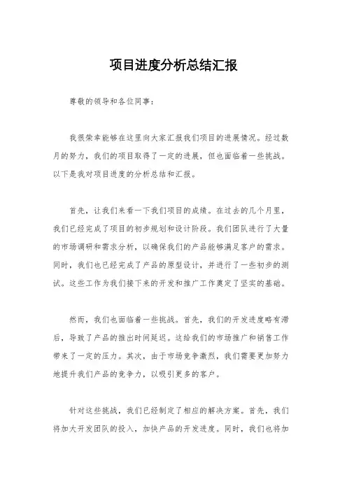 项目进度分析总结汇报