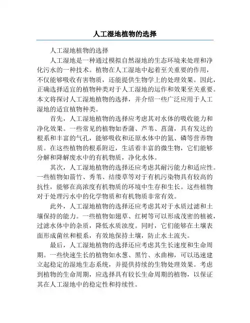 人工湿地植物的选择