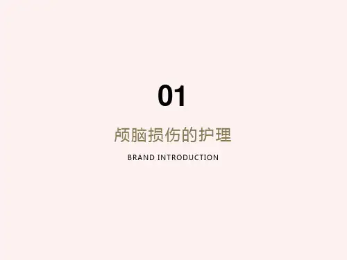 颅脑损伤的护理PPT课件