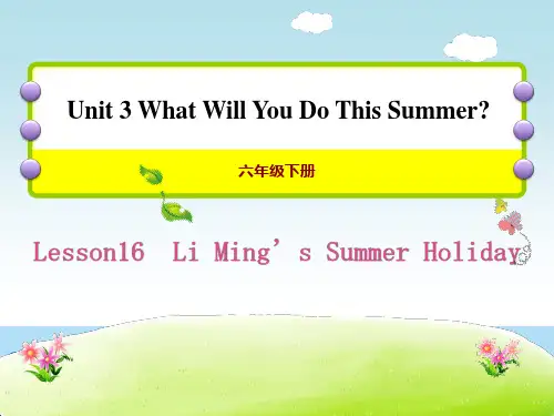 《Li Ming's Summer Holiday》What Will You Do This Summer PPT课件【英语课件】