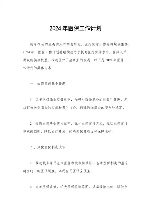 2024年医保工作计划