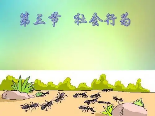 人教版八年级上册第三节《社会行为》2