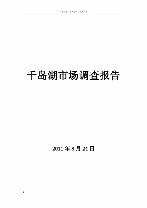 千岛湖市调报告目录版