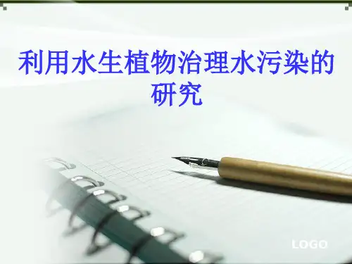 水生植物对水污染的治理讲解