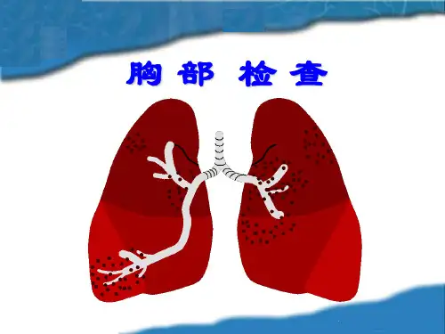 胸部体表标志概要