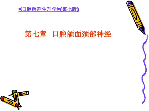 颌面部神经之面神经 ppt课件