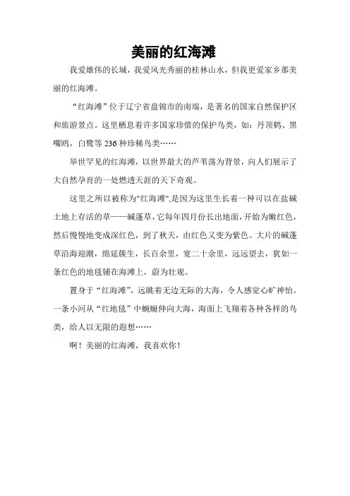 美丽的红海滩