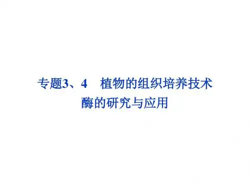 高考生物一轮复习课件 选修1专题3、4