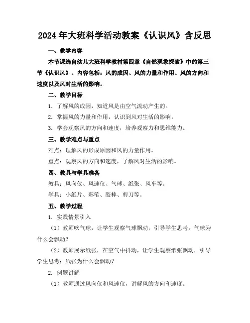 2024年大班科学活动教案《认识风》含反思