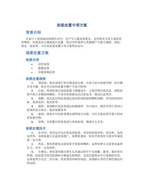 泥浆处置专项方案