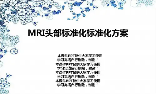 MRI头部规范化规范化方案