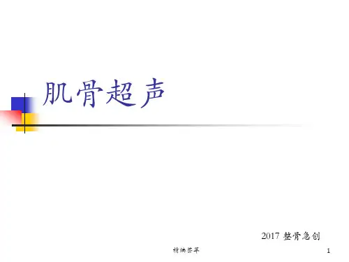 肌骨超声(精编荟萃)