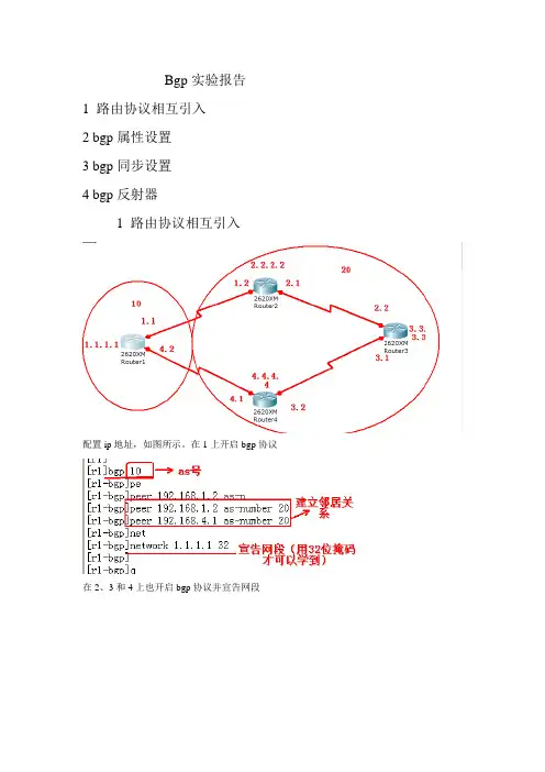 bgp实验报告
