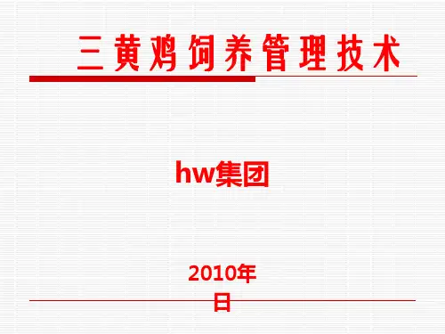 三黄肉鸡饲养管理