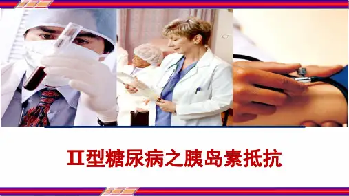 Ⅱ型糖尿病之胰岛素抵抗 PPT