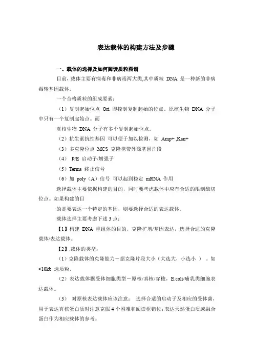 表达质粒的构建方法