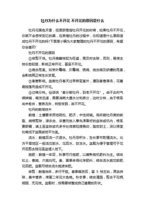 牡丹为什么不开花不开花的原因是什么