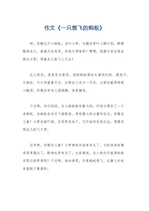 作文《一只想飞的蚂蚁》