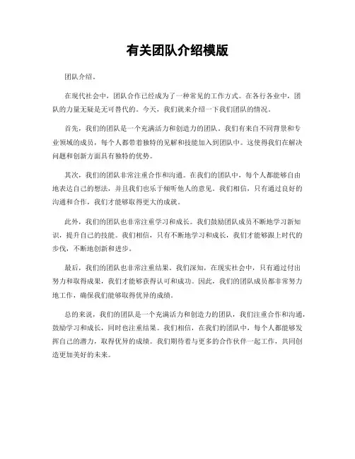 有关团队介绍模版
