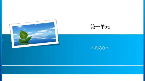 六年级下册语文课件-第1单元 3.桃花心木 人教新课标(共12张PPT)
