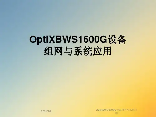 OptiXBWS1600G设备组网与系统应用